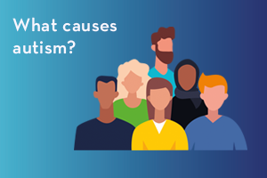 What causes autism?
