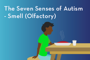 The Seven Senses – Smell (Olfactory)