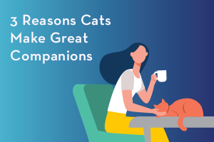 3 Reasons why cats make good companions